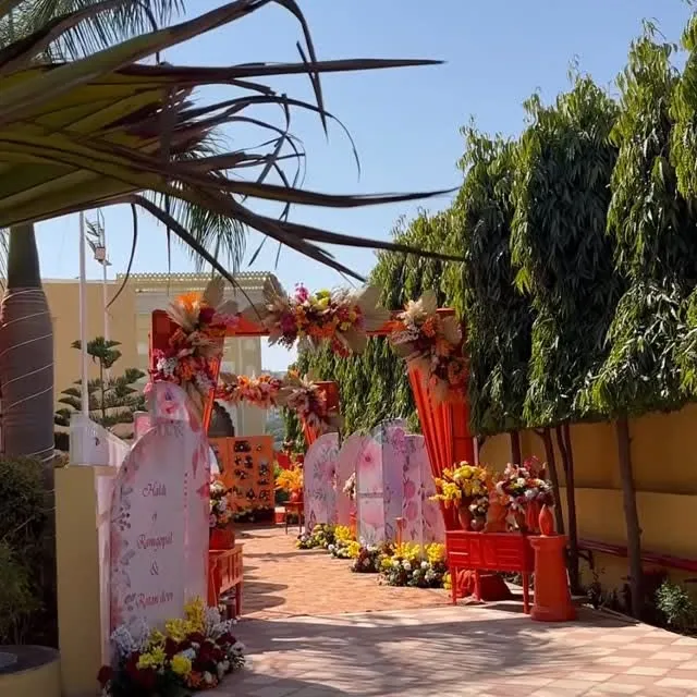 Harika Bagh wedding reel