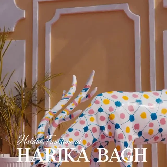 Harika Bagh wedding reel